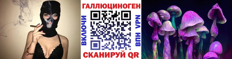 Купить закладки  Волосово  Псилоцибиновые грибы ЛСД 