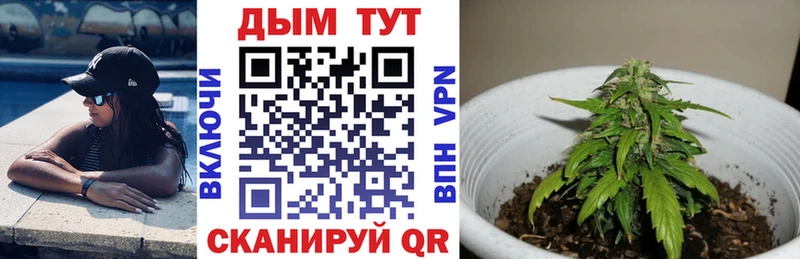 Канабис марихуана  Купить закладки  Волосово 